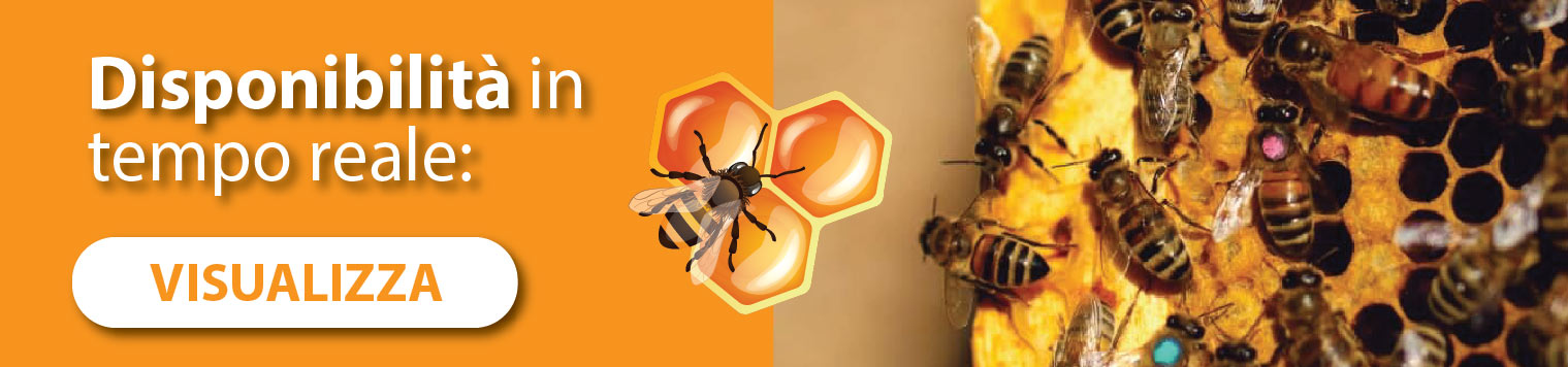 Sichere dir dein Bienenpaket und spare bis zu 30 %.