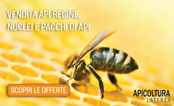 SALE OF QUEENS BEES